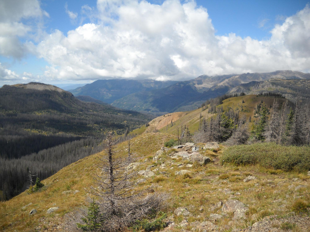 Lobo Overlook / Radio Tower