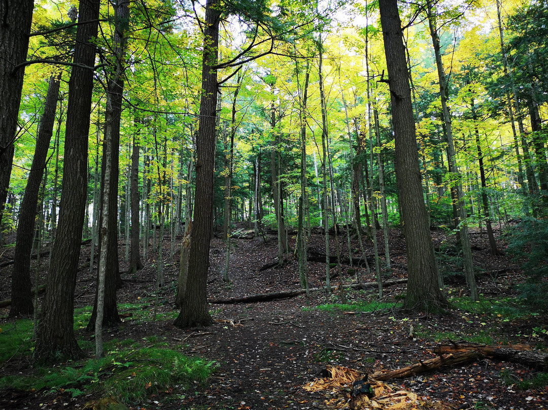 Mark S. Burnham Provincial Park景点图片