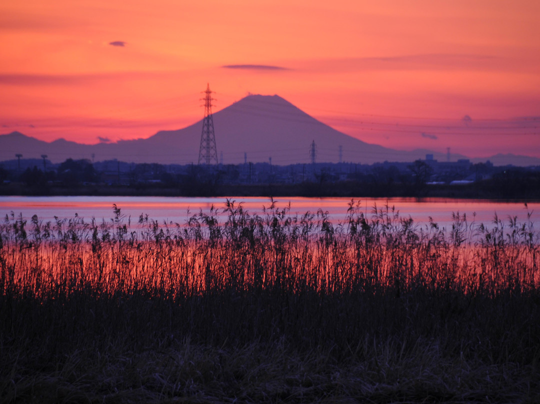 Ushikunuma Pond景点图片