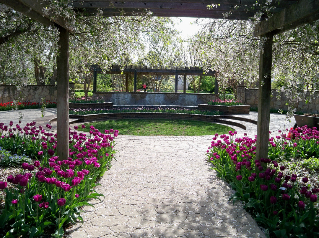 Botanica: The Wichita Gardens景点图片