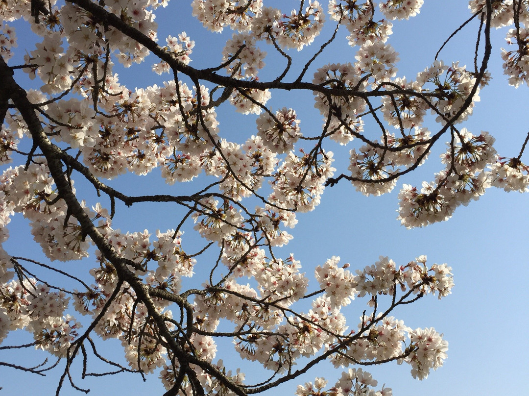 Jindai Botanical Garden Plant Diversity Center