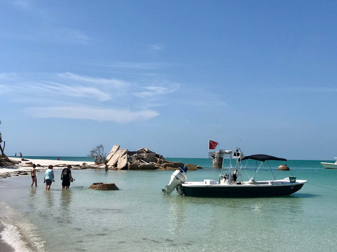 Nature Coast Excursions-Holmes Beach必去景点