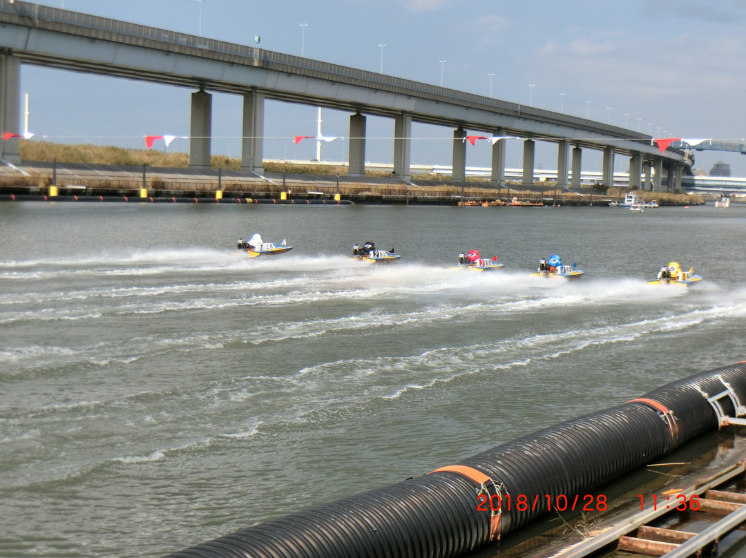 Boat Race Edogawa景点图片