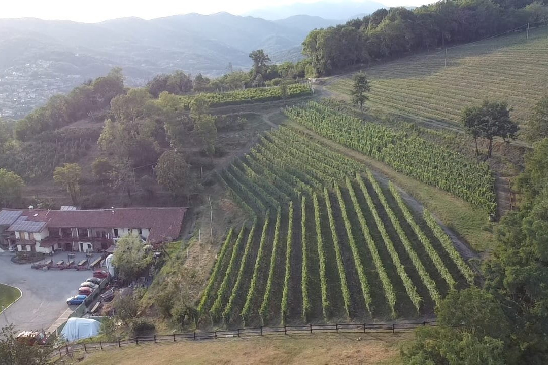 Agriturismo Dai Dellerba