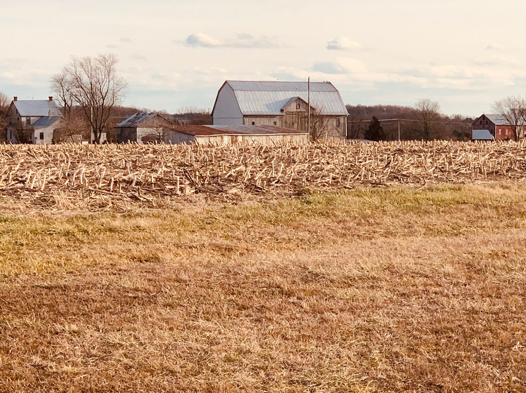 East Cavalry Battlefield-葛底斯堡必去景点