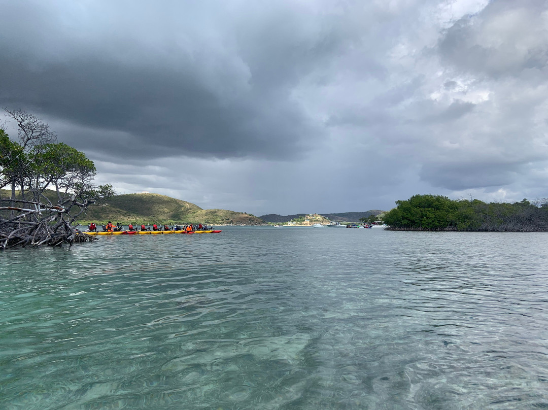 Chiliboats Waterbike Eco-Tour Adventure in La Parguera-La Parguera必去景点
