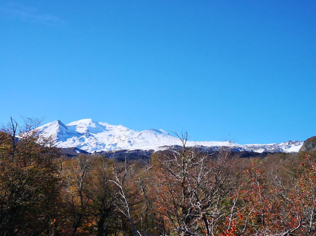 Ecoparque Shangri-La-Pinto必去景点