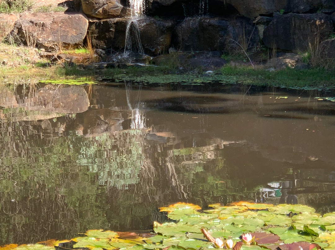 Ballarat Bird World-巴拉瑞特必去景点