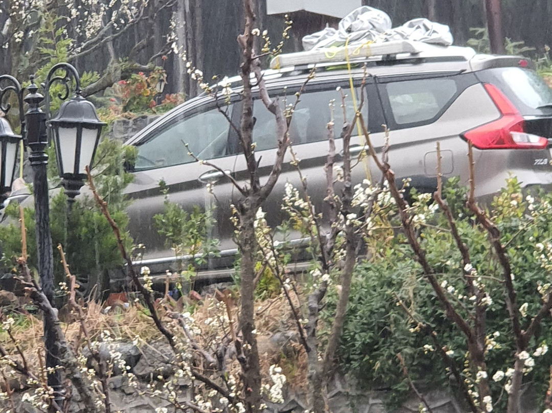 Regenta Inn by Riverside Manali主图