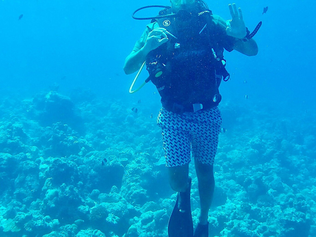 Dhiffushi Dive and Recreation-Dhiffushi Island必去景点