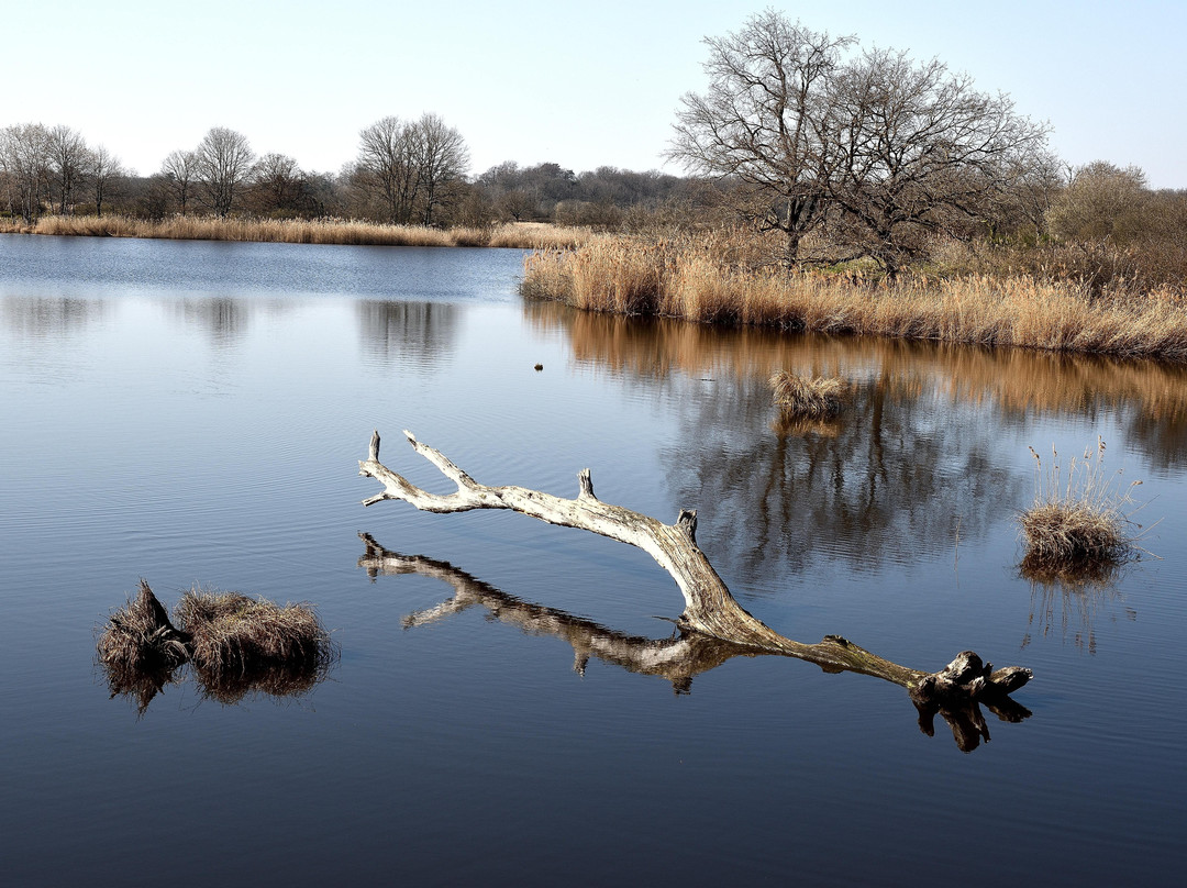 Etangs de la Brenne-Saint Michel en Brenne必去景点