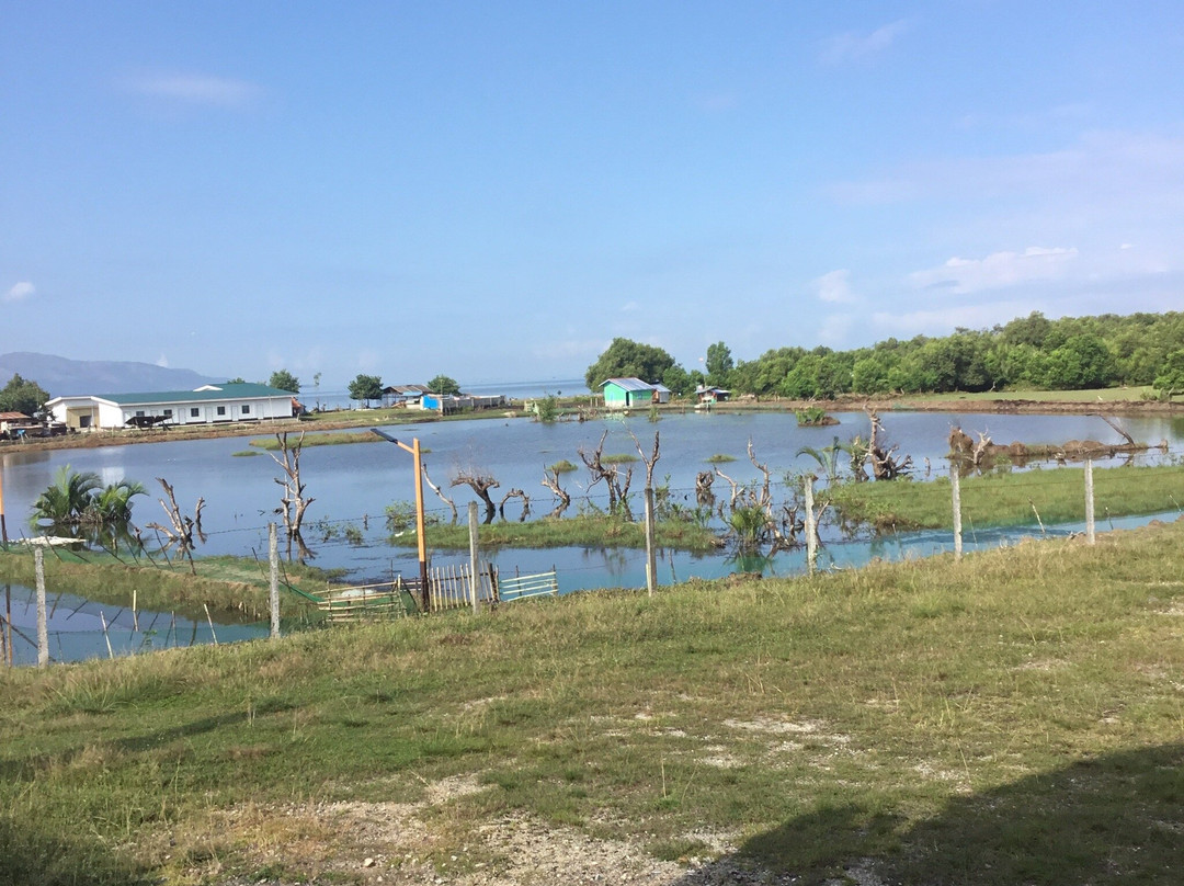 Kalanganan Bai Walk-Cotabato City必去景点