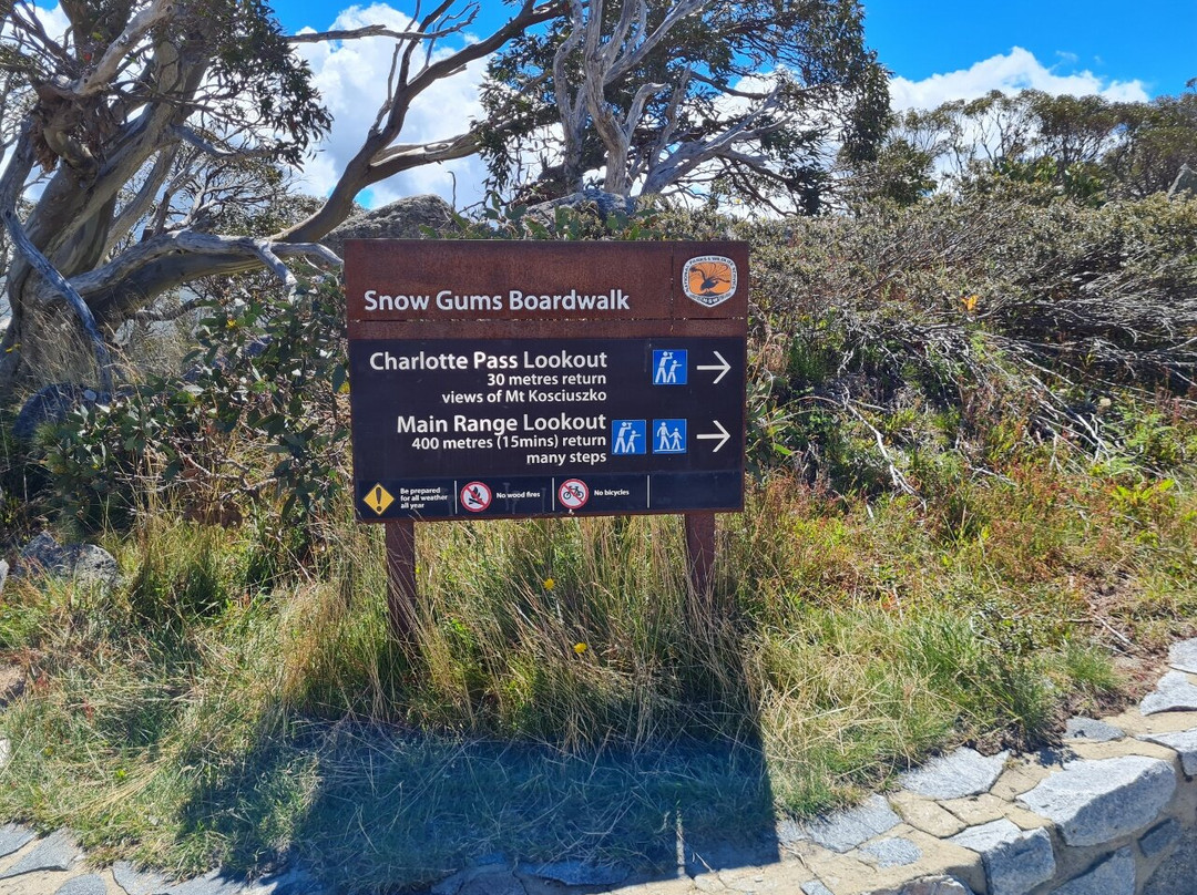 Snow Gums Boardwalk景点图片