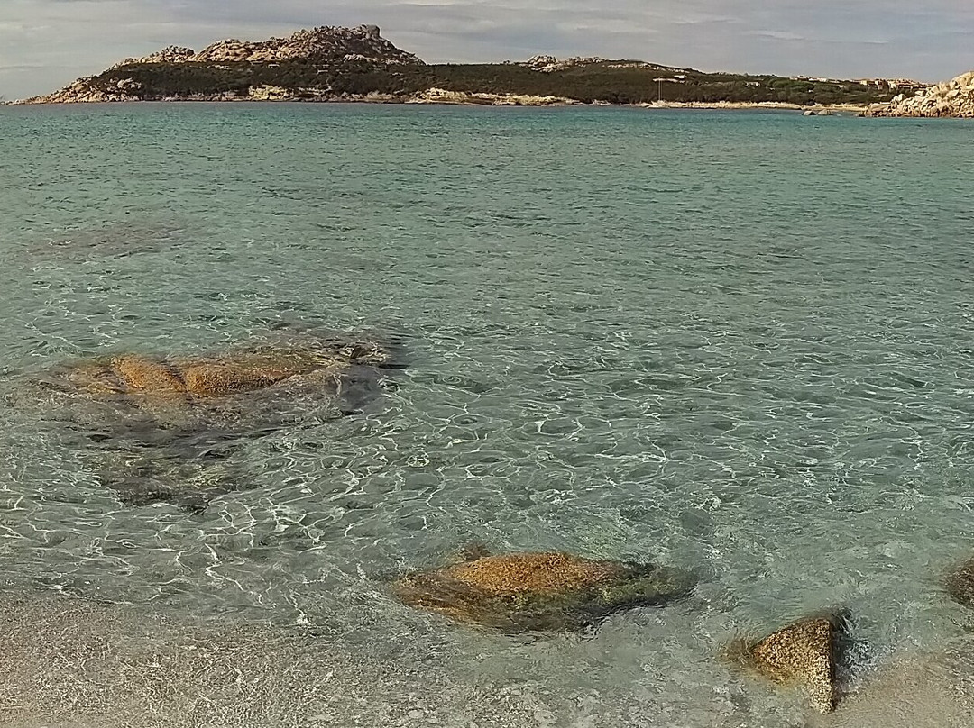 Spiaggia La Colba-圣特雷莎加卢拉必去景点