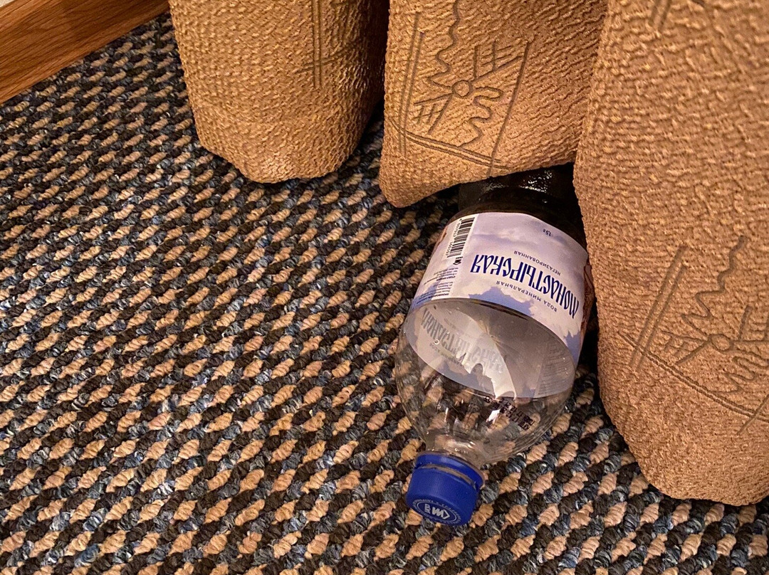 帕鲁斯酒店主图