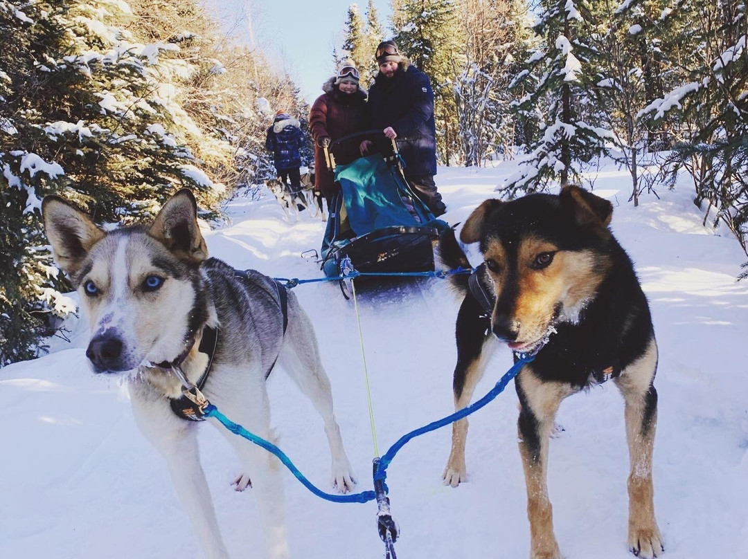 Chena Outdoor Collective-费尔班克斯必去景点