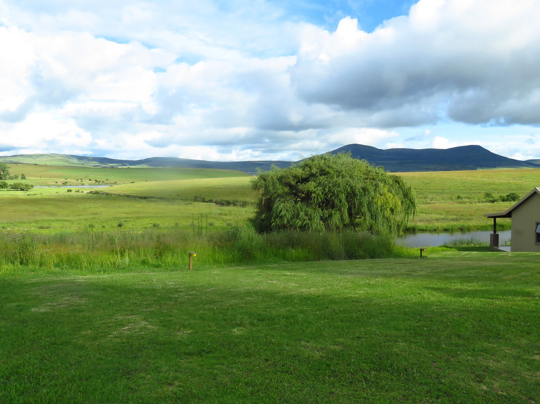 Forellenhof Guest Farm主图