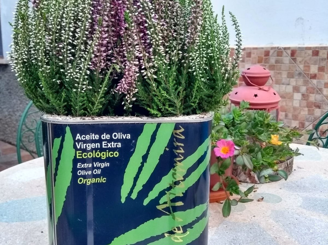 Olivares de Altomira景点图片