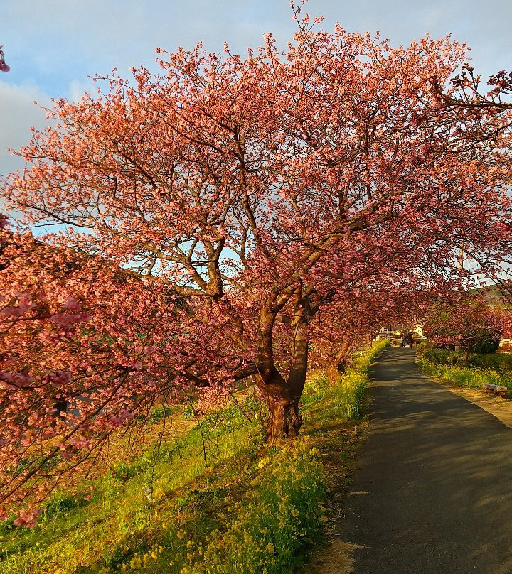 Minami-Izu Town Tourist Association Tourist Information Center景点图片