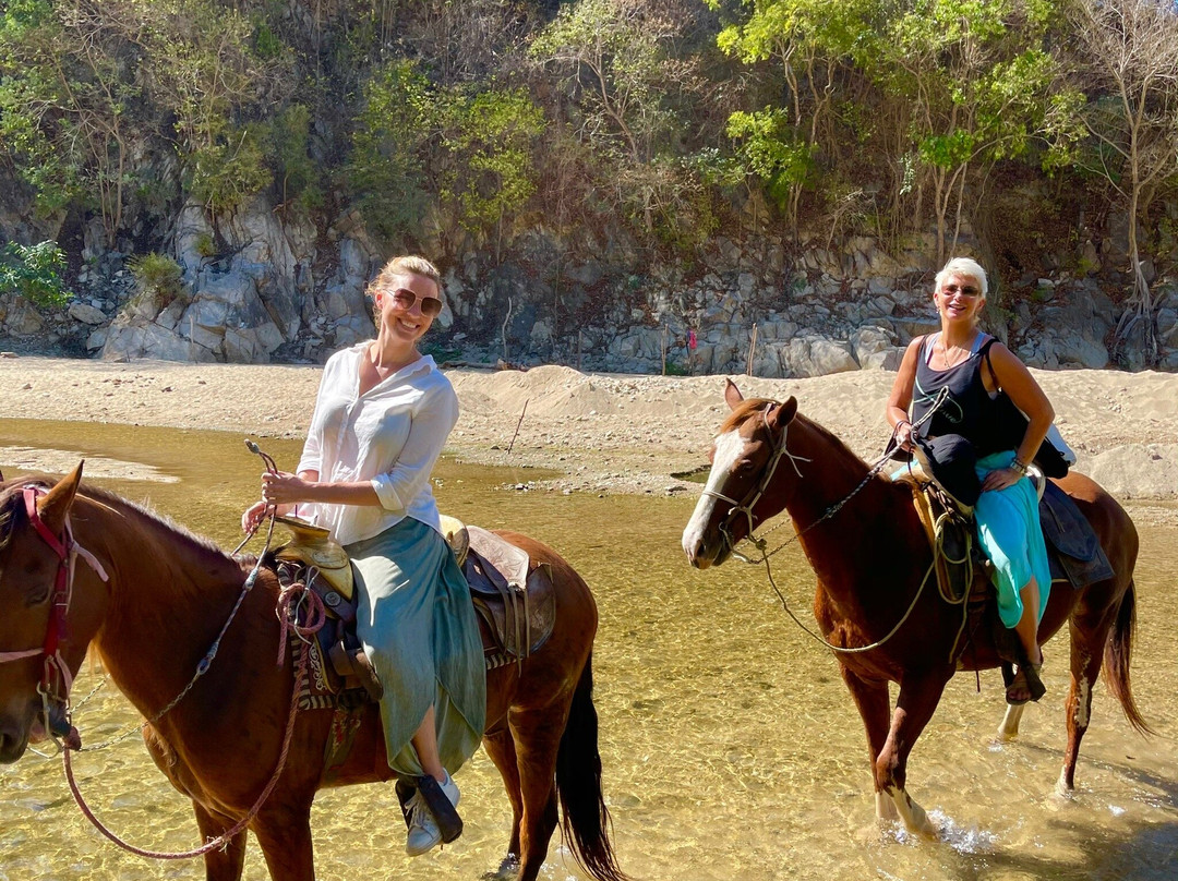 Robert's Ecotours-埃斯孔迪多港必去景点