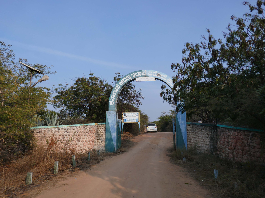 Daroji Bear Sanctuary景点图片