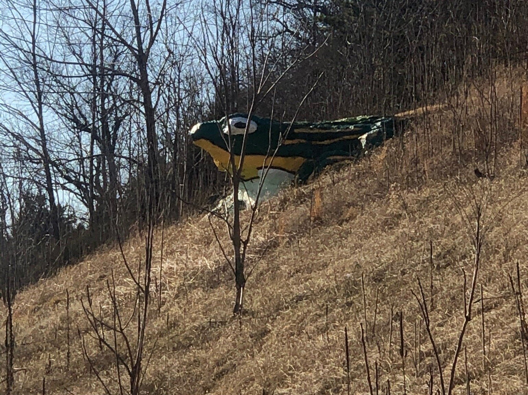 Frog Rock-Waynesville必去景点