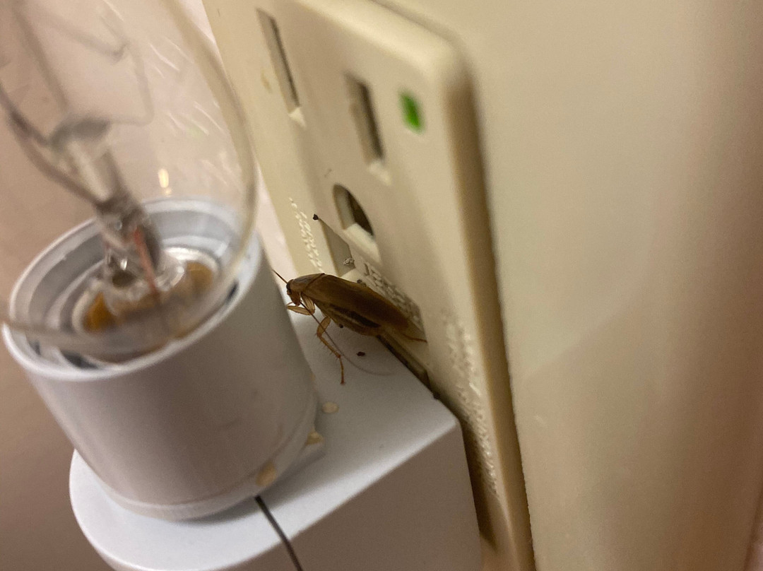 Hampton Inn Alexander City主图