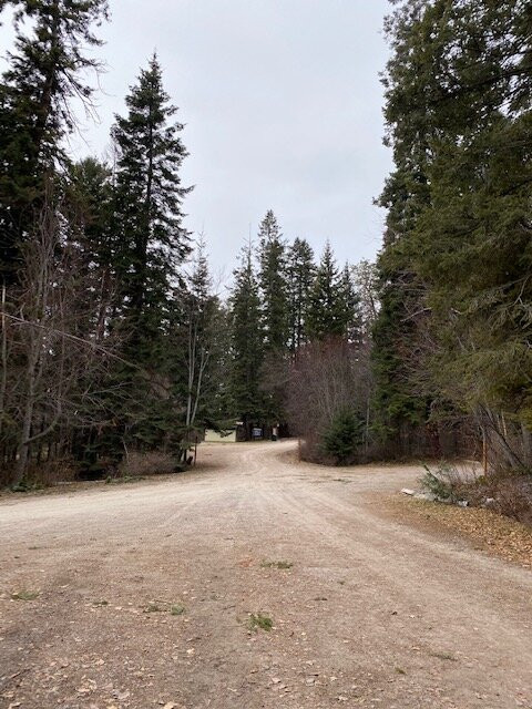 Yellow Bay / Flathead Lake State Park景点图片