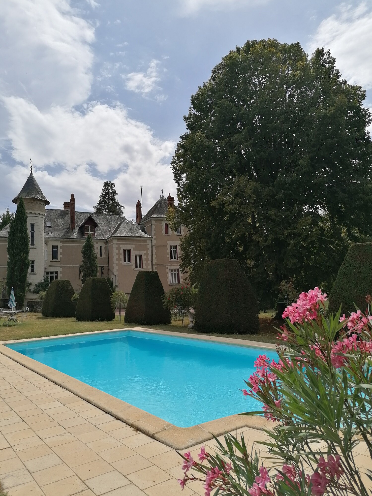Le Moulin de Francueil-泳池