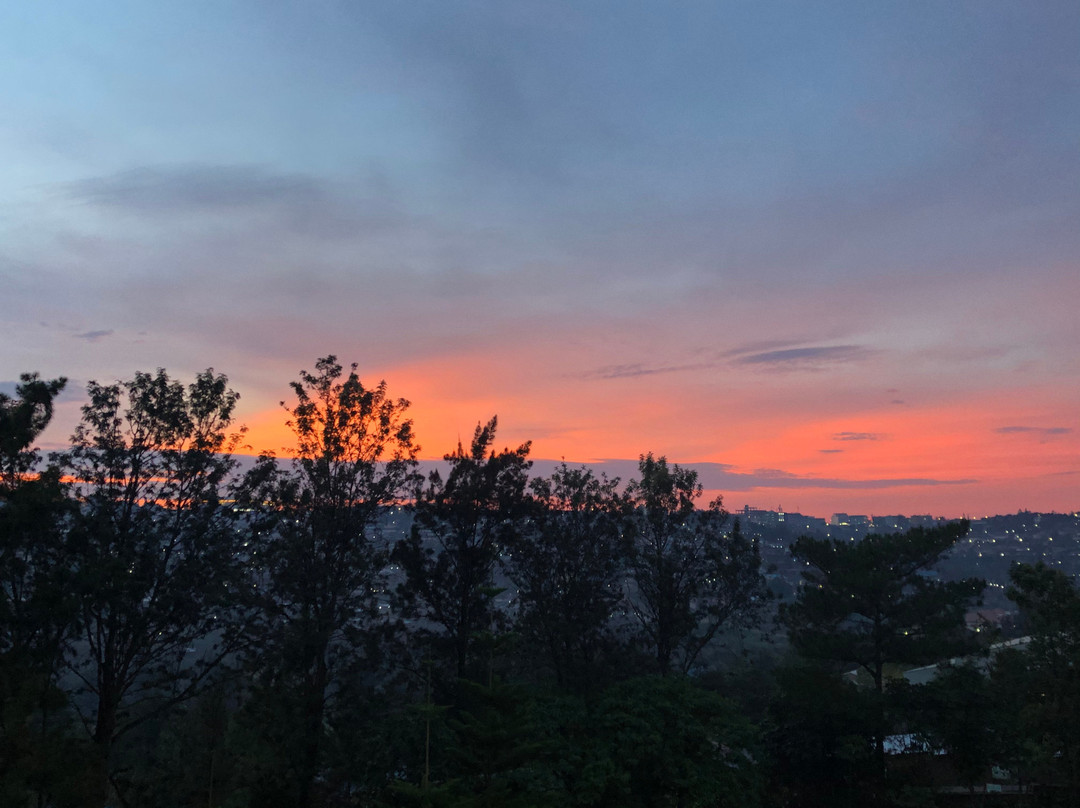 Gorillas City Centre Hotel主图