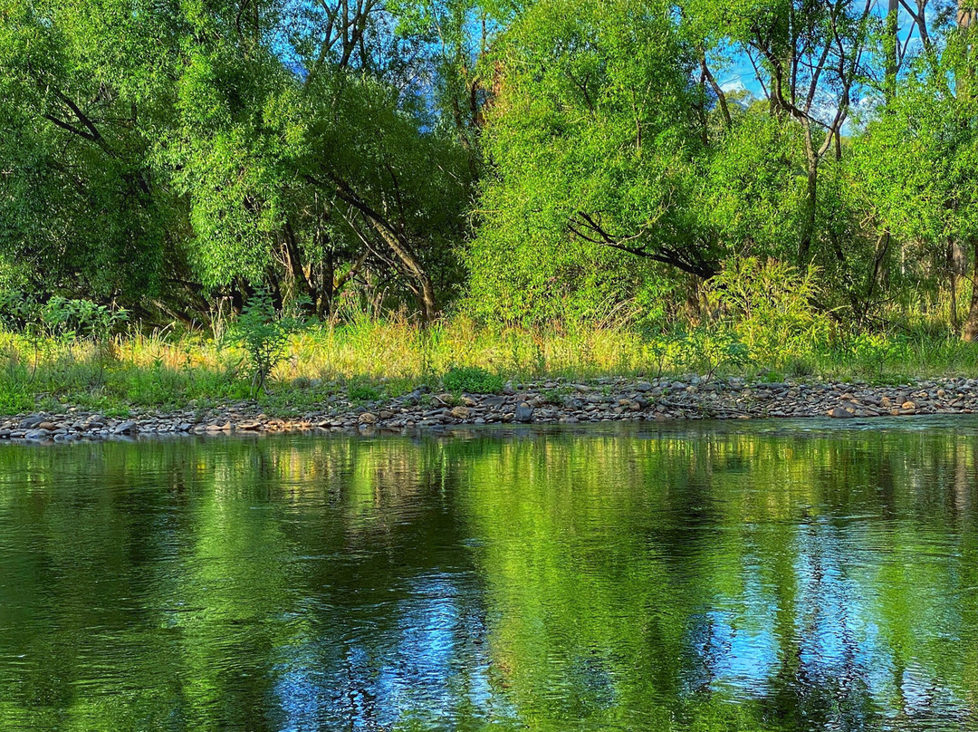 Buffalo Motel and Country Retreat主图