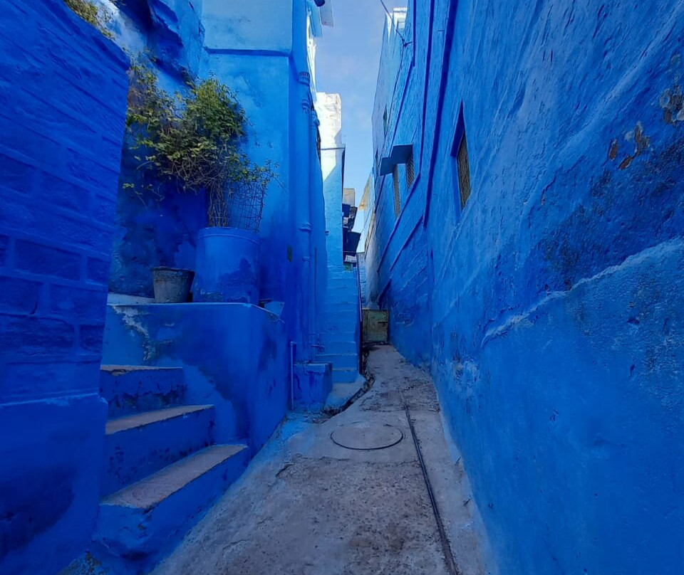 Walk in Blue City-焦特布尔必去景点