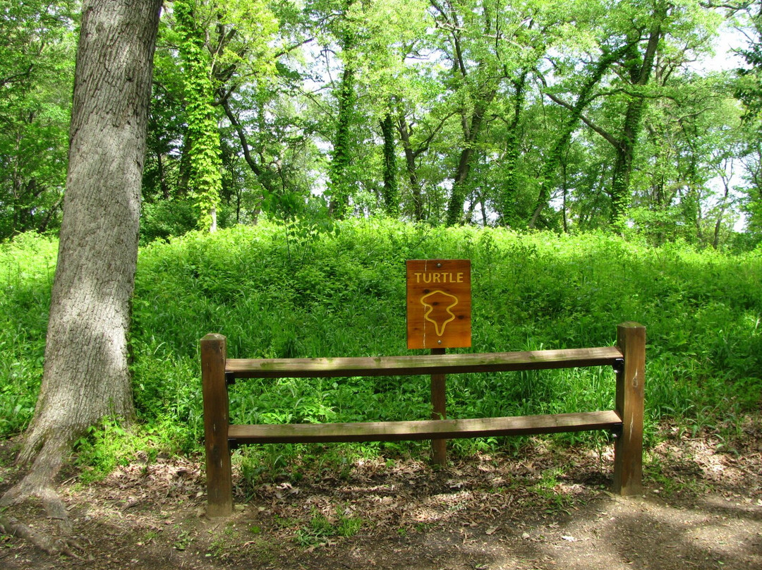Dorothy Carnes County Park & Rose Lake State Natural Area景点图片