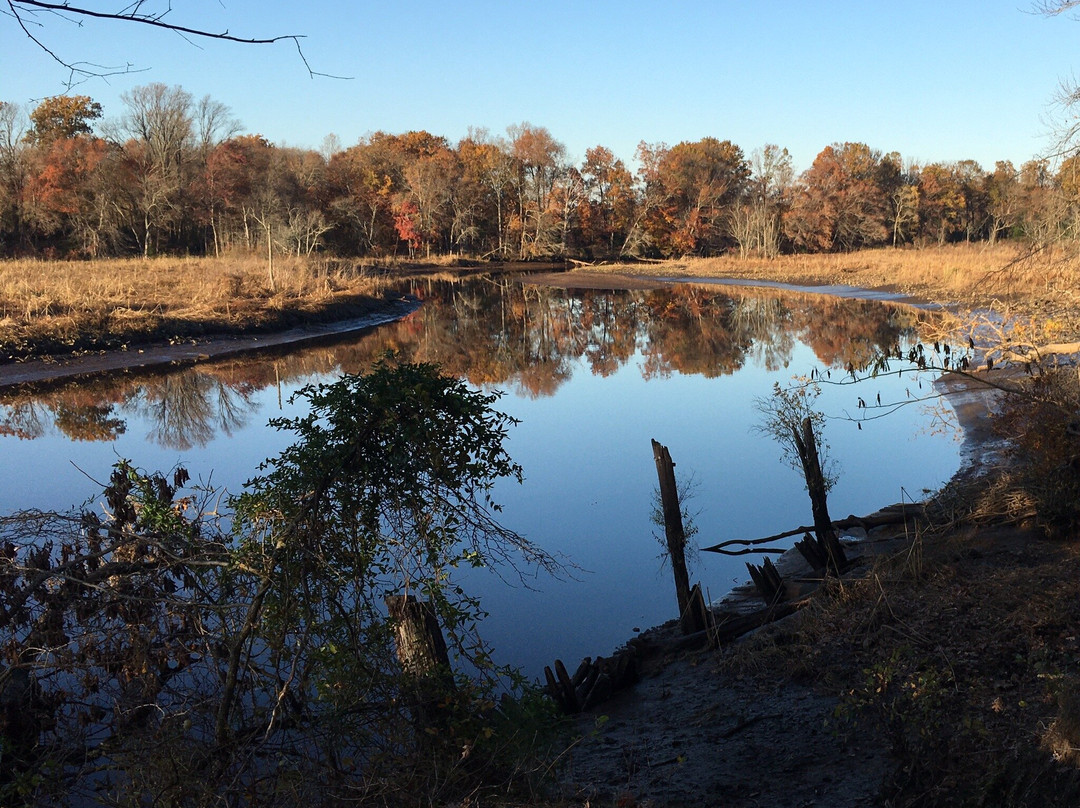 Rancocas State Park景点图片
