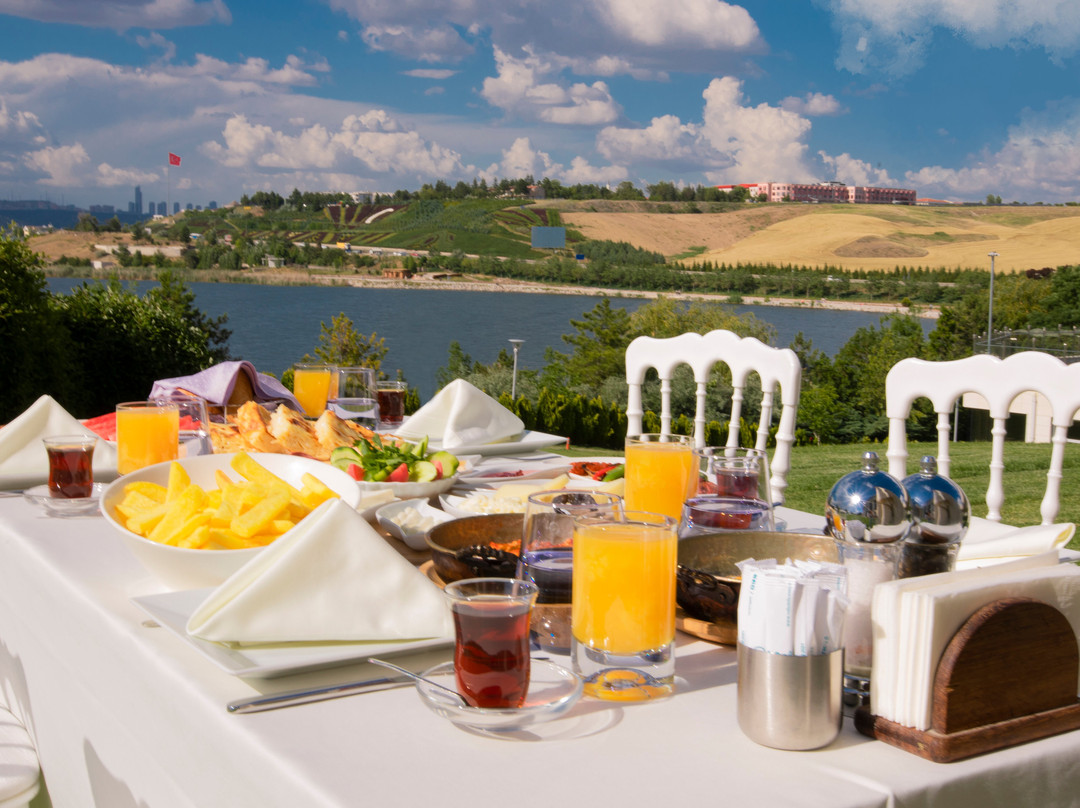 VE Hotels Golbasi主图