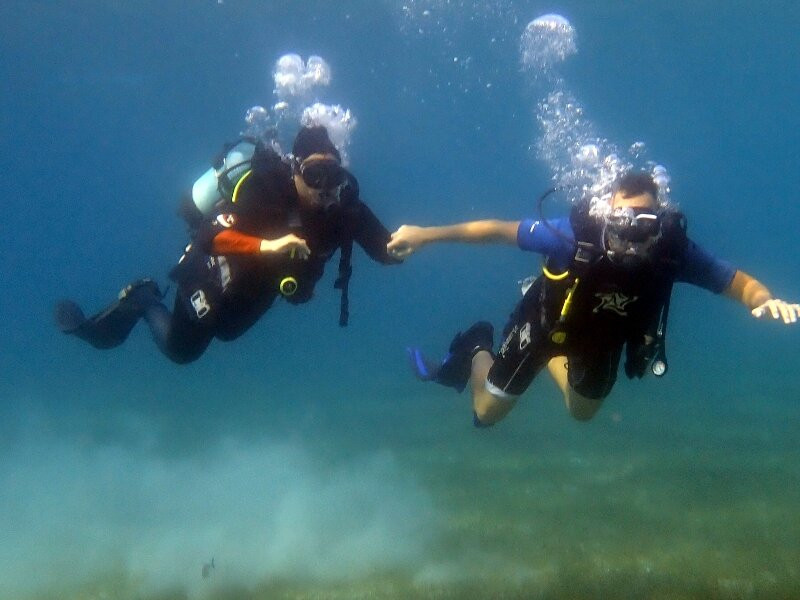 Ocean Diving Center-Neos Marmaras必去景点