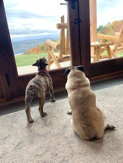 Lakeside Resort主图