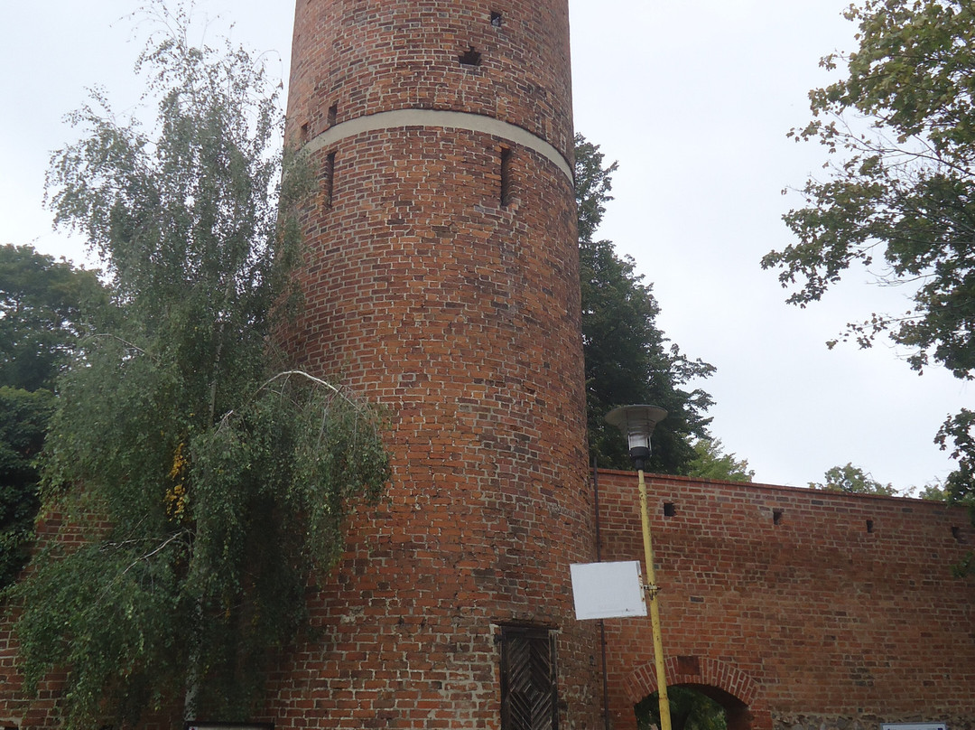 Pyrzyce旅游攻略图片