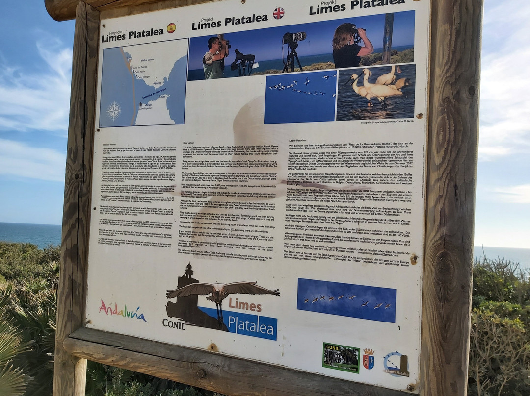 Cabo Roche景点图片