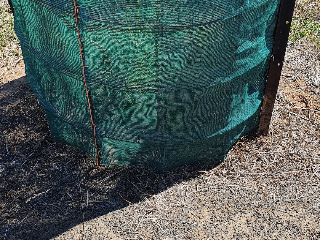 Muckadilla War Memorial-Roma必去景点