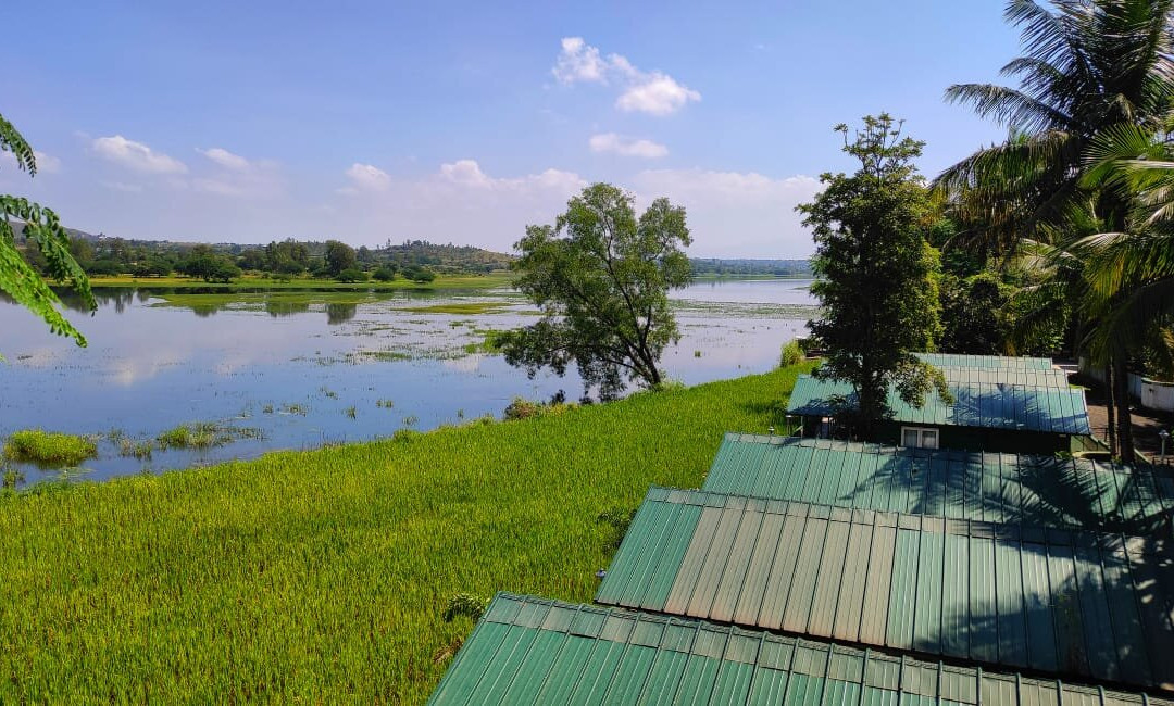 The Herb Farm By Curry Leaves主图
