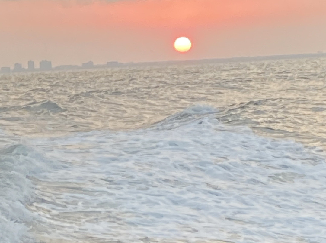 Gulfstream Fishing Charters-克利尔沃特必去景点