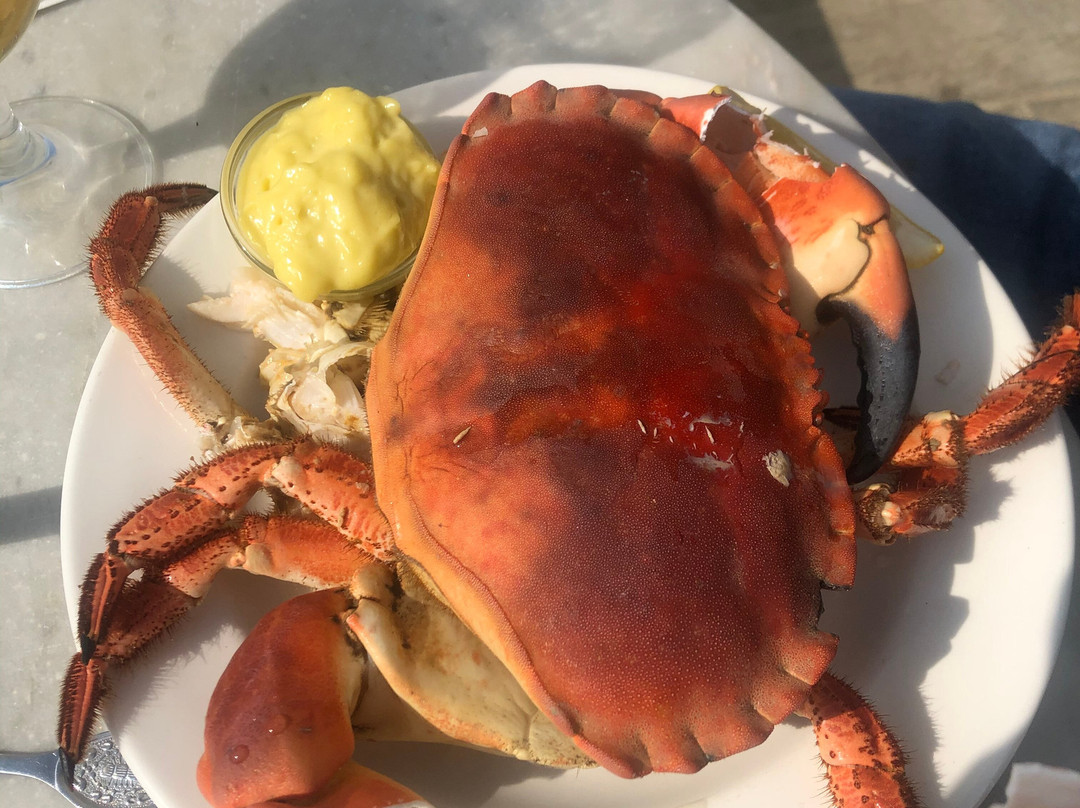 The Seaside Boarding House主图