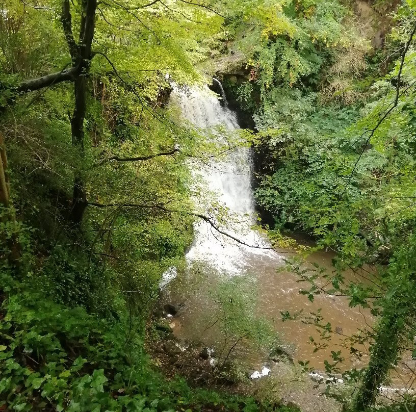 Falling Foss Tea Garden and Waterfall景点图片