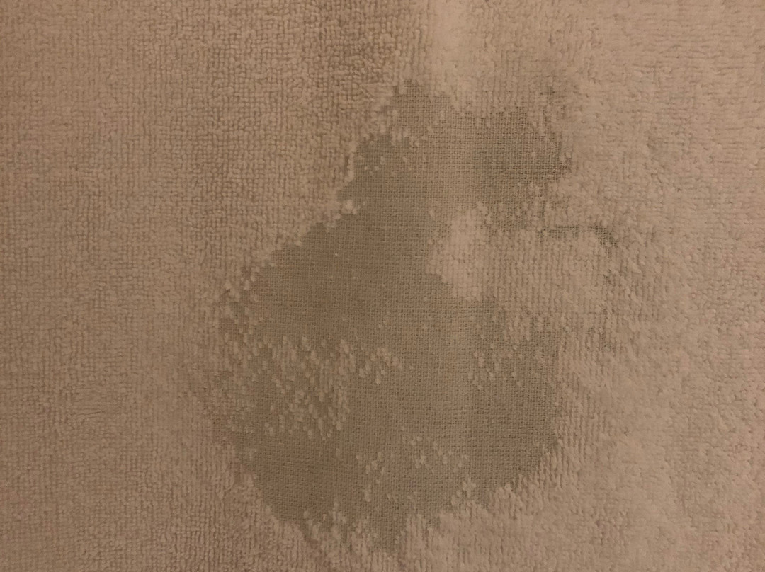 Nobile Suites Gran Lumni Rio Branco主图