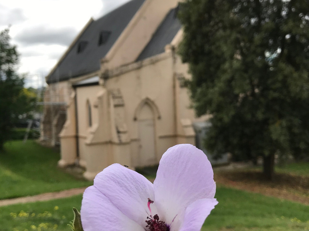 St Lukes Anglican Church景点图片