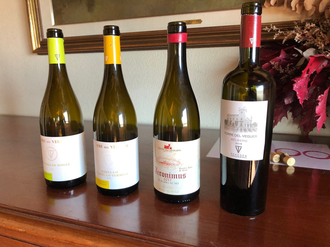 Torre del Veguer-Sant Pere de Ribes必去景点