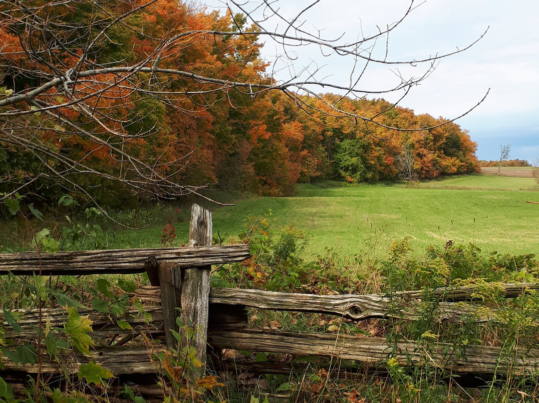 Boyne Valley Provincial Park景点图片