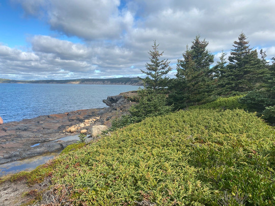 Gaff Point Trail-Riverport必去景点