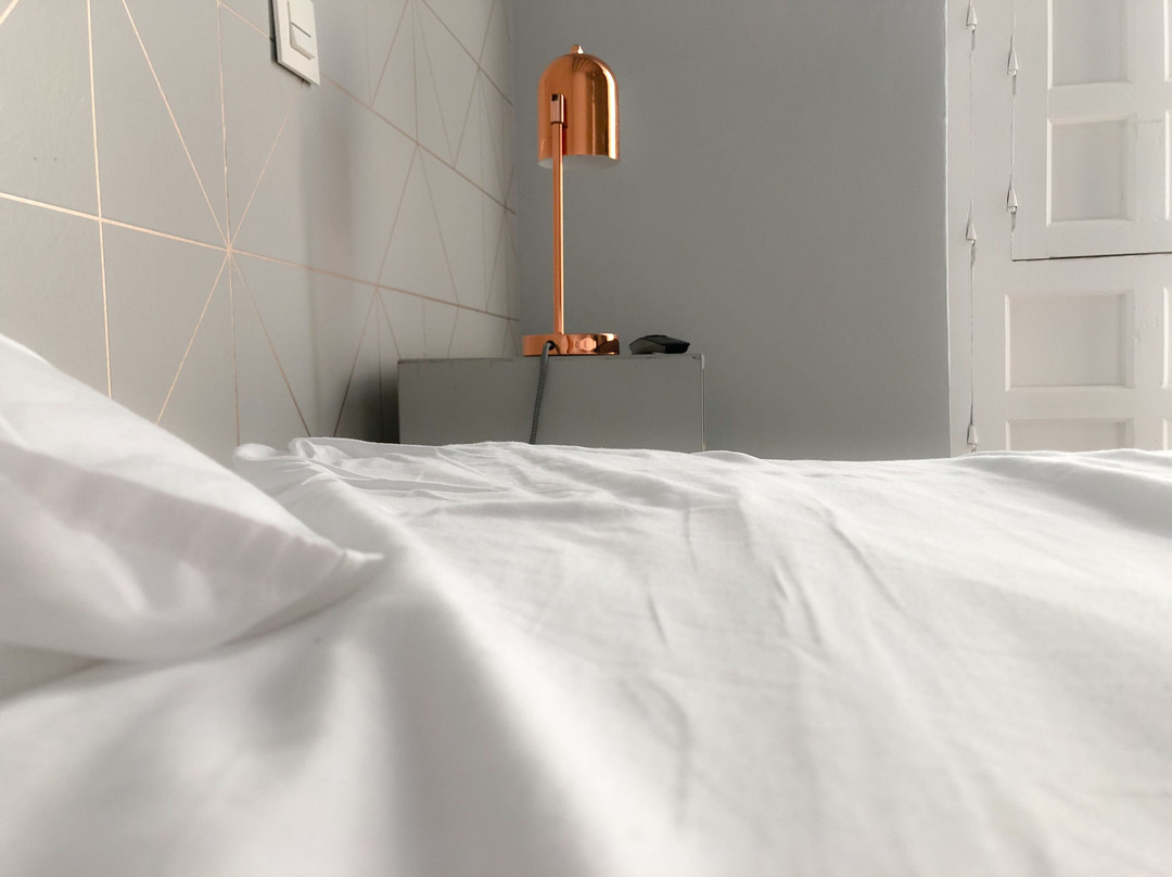 Casa de Indias主图